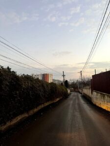 FB_IMG_1768478776050